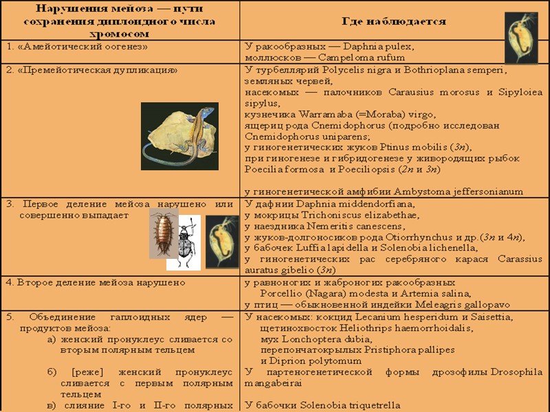 По Васецкому (1977), с дополнениями из Аззела (Uzzell, 1970), Суомалайнена (Suomalainen et al., 1976),